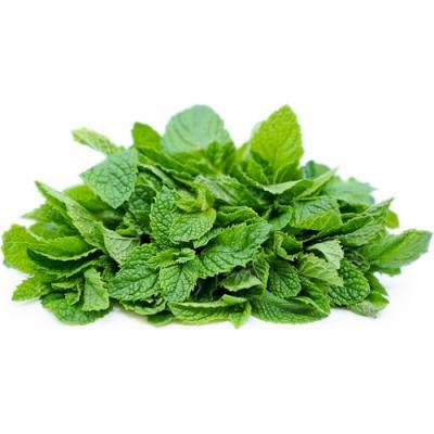 Mint / Pudhina